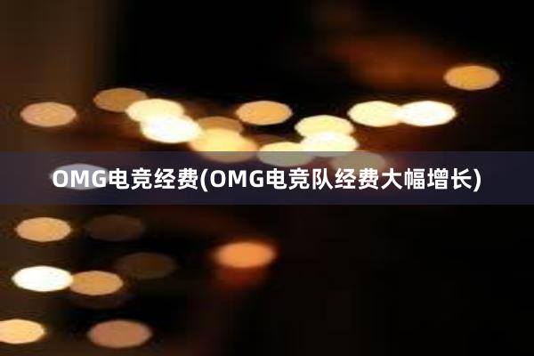 OMG电竞经费(OMG电竞队经费大幅增长)