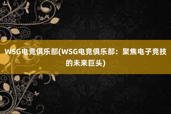 WSG电竞俱乐部(WSG电竞俱乐部：聚焦电子竞技的未来巨头)