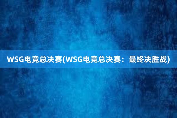 WSG电竞总决赛(WSG电竞总决赛：最终决胜战)