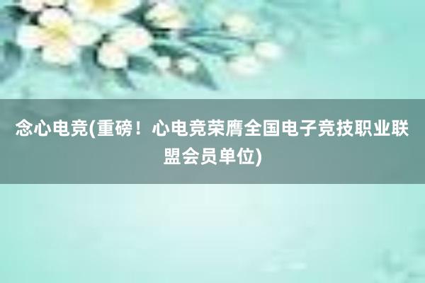 念心电竞(重磅！心电竞荣膺全国电子竞技职业联盟会员单位)