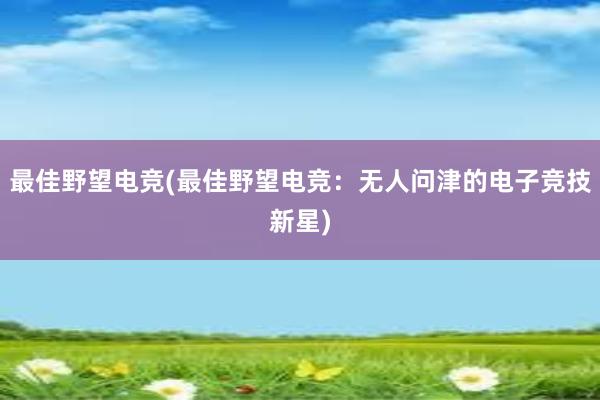 最佳野望电竞(最佳野望电竞：无人问津的电子竞技新星)