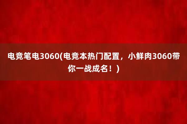 电竞笔电3060(电竞本热门配置，小鲜肉3060带你一战成名！)