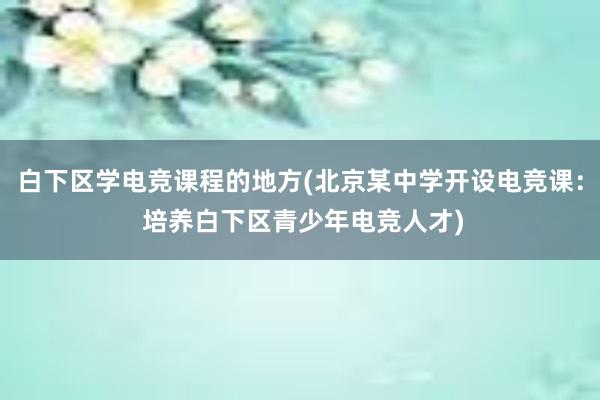 白下区学电竞课程的地方(北京某中学开设电竞课： 培养白下区青少年电竞人才)