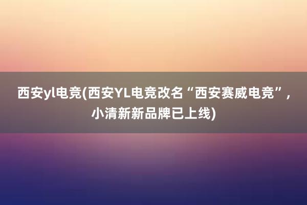 西安yl电竞(西安YL电竞改名“西安赛威电竞”，小清新新品牌已上线)