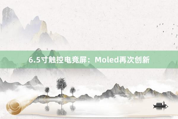 6.5寸触控电竞屏：Moled再次创新