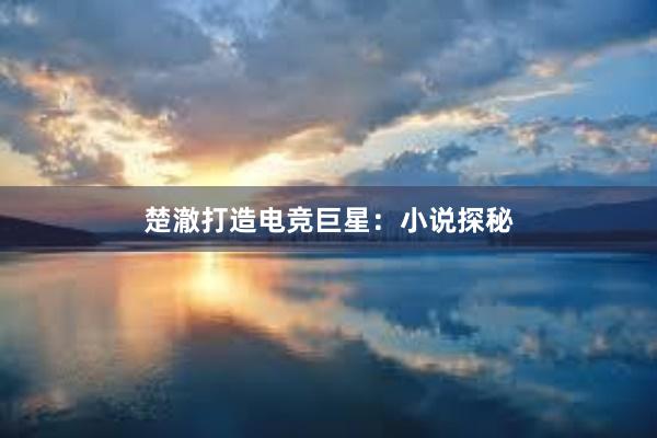 楚澈打造电竞巨星：小说探秘