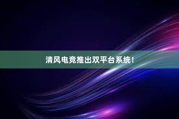 清风电竞推出双平台系统！