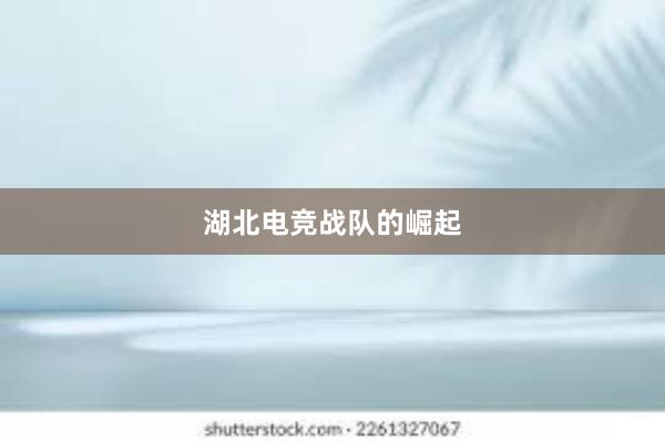 湖北电竞战队的崛起