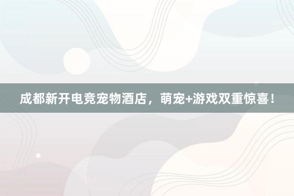 成都新开电竞宠物酒店，萌宠+游戏双重惊喜！