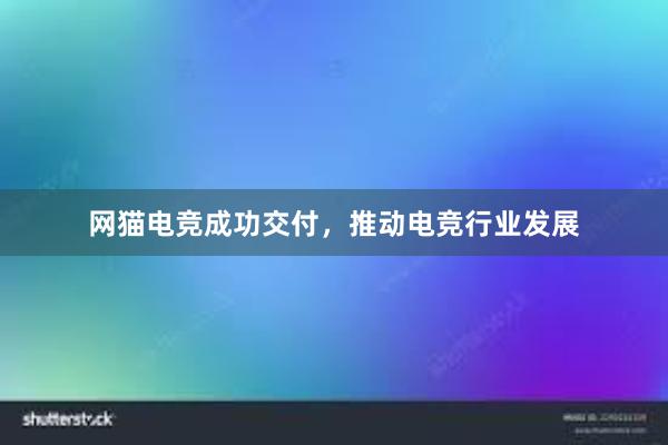 网猫电竞成功交付，推动电竞行业发展