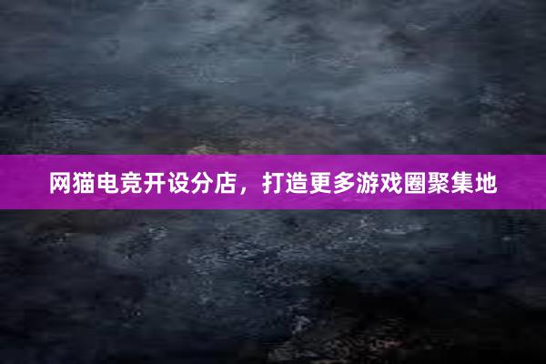 网猫电竞开设分店，打造更多游戏圈聚集地