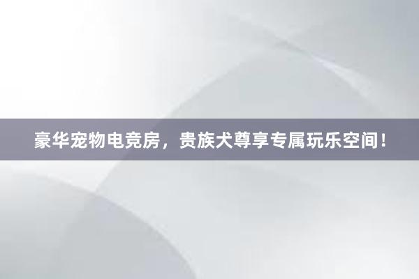 豪华宠物电竞房，贵族犬尊享专属玩乐空间！