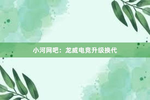 小河网吧：龙威电竞升级换代